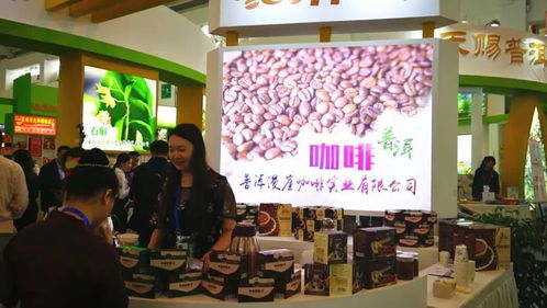 普洱市組團參加第五屆中國—南亞博覽會暨第二十五屆中國昆明進出口商品交易會，會議及展覽服務全面升級